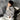 GS No. 287 Knitted Sweater - Gentleman's Seoul -