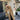 GS No. 289 Woolen Coat - Gentleman's Seoul -