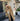 GS No. 289 Woolen Coat - Gentleman's Seoul -