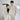 GS No. 350 Couple Autumn Sweatshirt Set - Gentleman's Seoul -