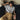 GS No. 397 Retro Shirt - Gentleman's Seoul -