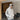 GS No. 409 Korean Letters Jacket - Gentleman's Seoul -