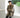 gs-supplier-model GS66 Khaki 01