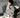 GS No. 287 Knitted Sweater - Gentleman's Seoul -