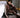 GS No. 292 Luxury Sport Jacket - Gentleman's Seoul -
