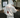 GS No. 324 Korean Hoodie - Gentleman's Seoul -