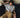 GS No. 397 Retro Shirt - Gentleman's Seoul - 